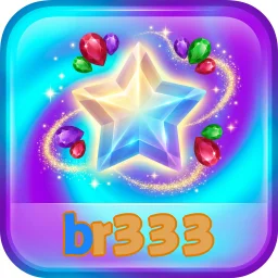 br333